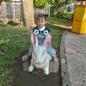 Trực tiếp tenni