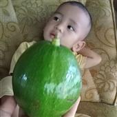 Trò Chơi Ti