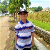 Bóng chày C