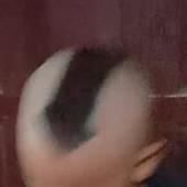 bò và bò cùng m