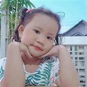 Giải vô địch bó