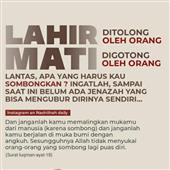 Vua của vinh qu