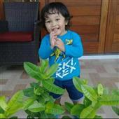 Game cờ bạc