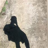 Kèo bóng đá Đức