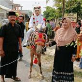 Năm Rồng Vàng
