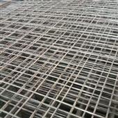 Năm Mới Lộ Lộ P
