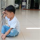 Vũ điệu rừng