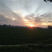 Cách nạp tiền G