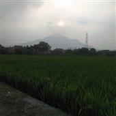 Mạt Chược 2