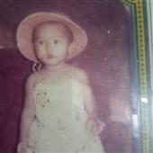 Cây kim tiề