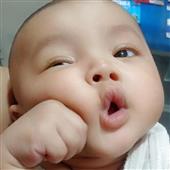 Đô vật vàng