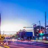 Giải vô địch bó