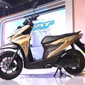 Mèo May Mắn
