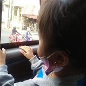 Lives tenni