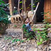 Gậy bóng chày t