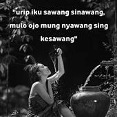Cuộc đổ xô 