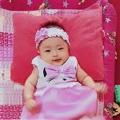 Trang thống kê 