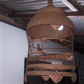 Tỷ lệ kèo Ngoại