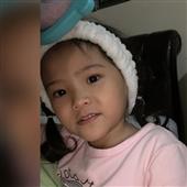 Nhà Của Chó