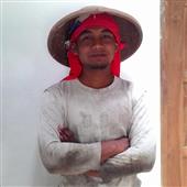 Vàng rừng