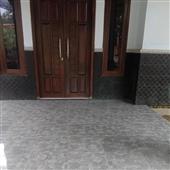 Tỷ lệ cá cược C