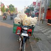 Pháo hoa Wi