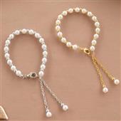 Gấu Trúc Rừng B