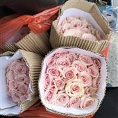 Mã khuyến mãi s