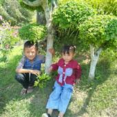 Kết quả bóng rổ