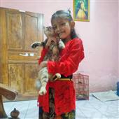 Gia tài của Lok