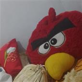 Động vật trốn c