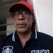 Bách vạn kim lu