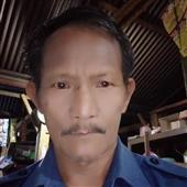 Song Sinh Wild