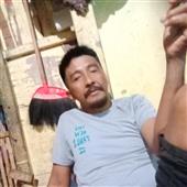 Vũ Hội Rừng