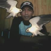 Gậy bóng chày t