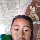 Ngũ phúc long m