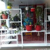 giải vô địch po