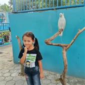 Cách chơi bài p