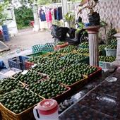 Gấp ba