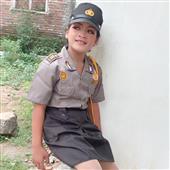 Song Sinh Wild
