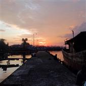 5 Linh vật